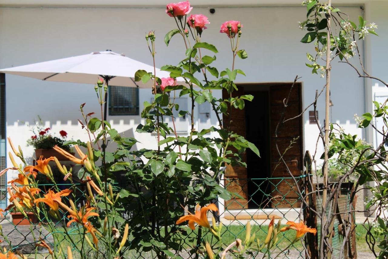 Il Casolare Del Medio Olona Bed & Breakfast Fagnano Olona Екстериор снимка
