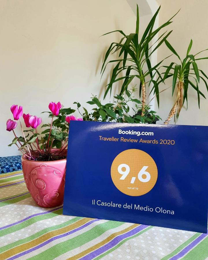 Il Casolare Del Medio Olona Bed & Breakfast Fagnano Olona Екстериор снимка
