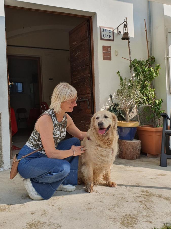 Il Casolare Del Medio Olona Bed & Breakfast Fagnano Olona Екстериор снимка