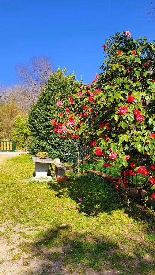Il Casolare Del Medio Olona Bed & Breakfast Fagnano Olona Екстериор снимка